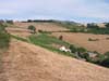 Le véru en été