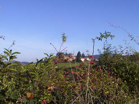 b12