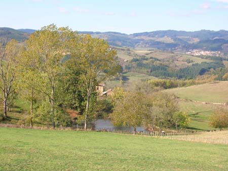c13