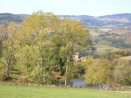 c15