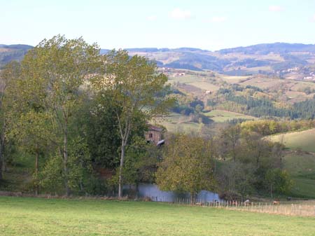 c16