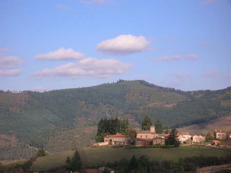 c26
