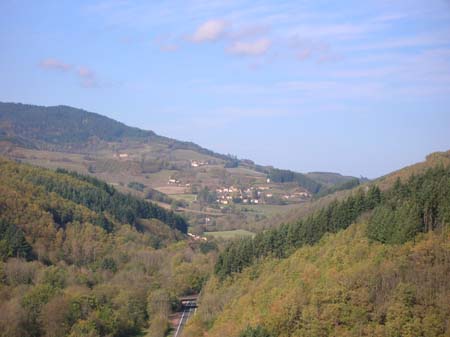 c40