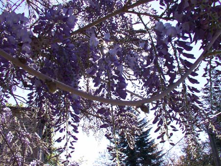 a09